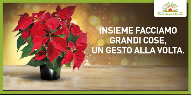 1420x710_Stella-Natale_LP.jpg